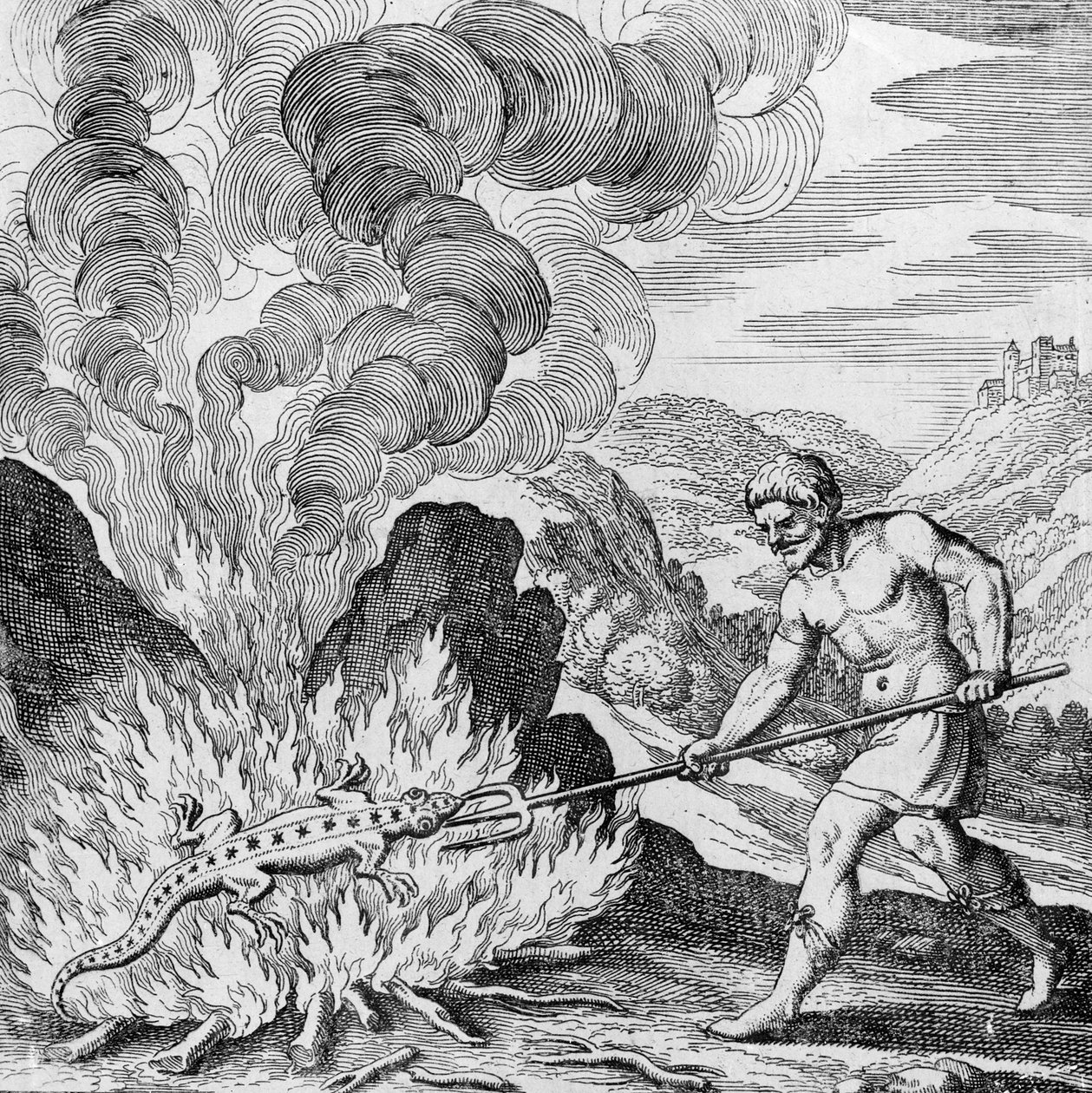 Bränna en salamander från Musaeum Hermeticum av German School