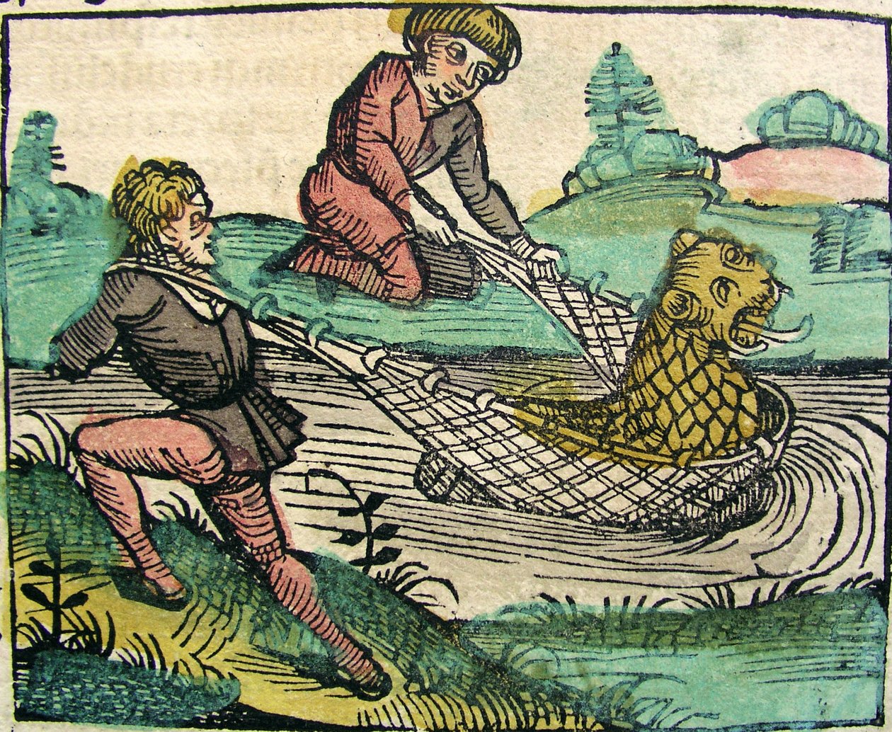 Att fånga ett lejonkattfiskmonster publicerat i Nürnbergkrönikan, 1493 av German School