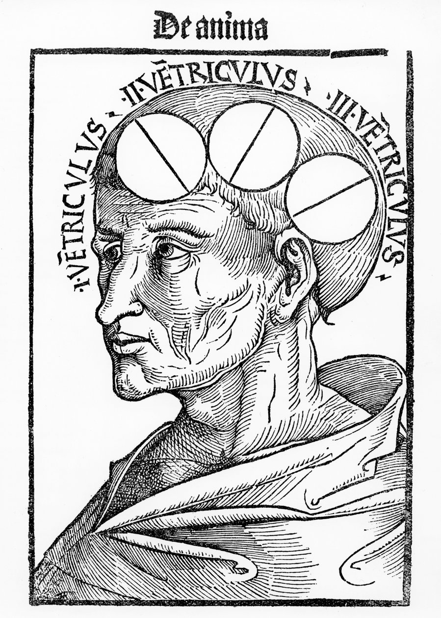 Cavities of the Brain, från Philosophia Naturalis av Albertus Magnus, publicerad i Basel, 1506 av German School