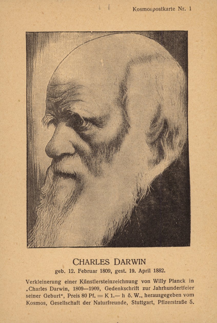 Charles Darwin (1809-1882), engelsk naturforskare (litografi) av German School