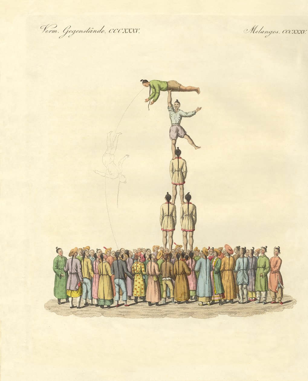 Kinesisk bateleus (färgad gravyr) av German School