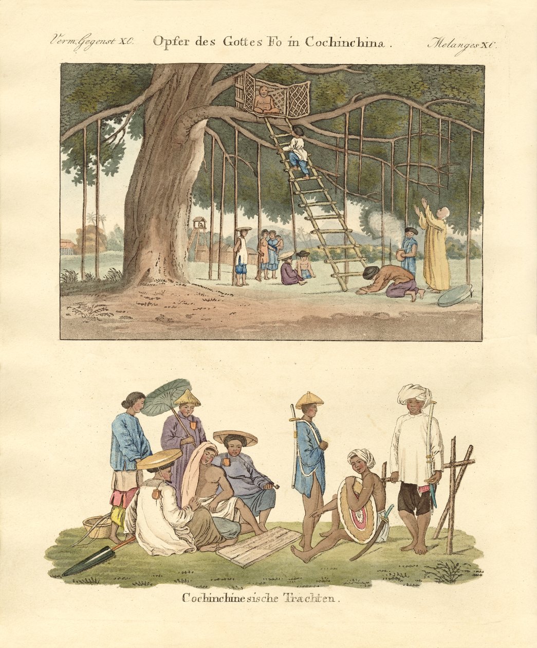 Cochin kinesiska användningsområden och klänningar (färgad gravyr) av German School