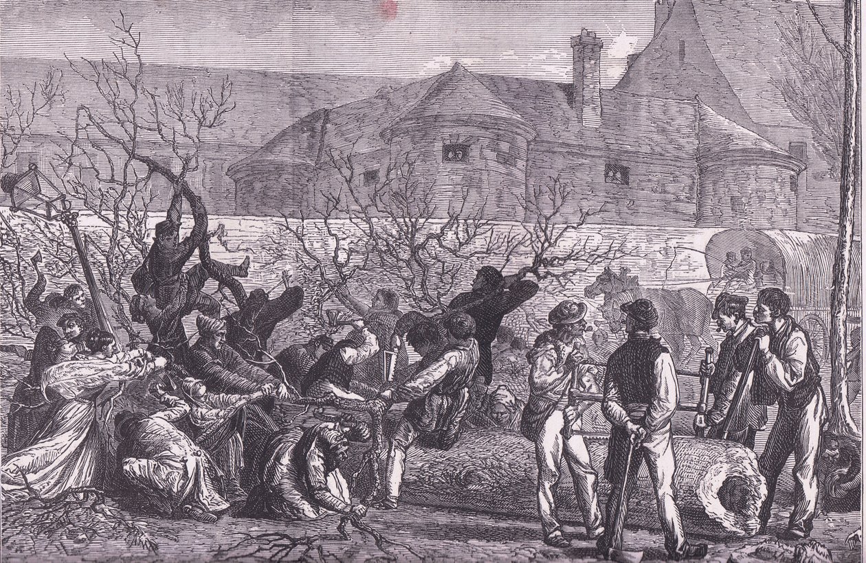 Att hugga ner träd runt Paris för ved, Cassells History of the War between France and Germany publicerad av Cassell and Company Limited, ca 1890 (litho) av German School