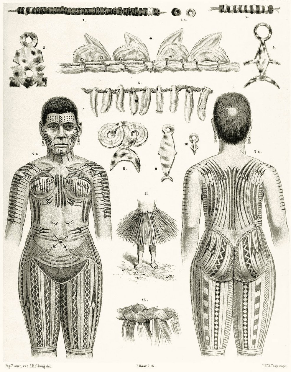 Diagram som visar polynesiska smycken, ornament och tatueringar, 1888 av German School