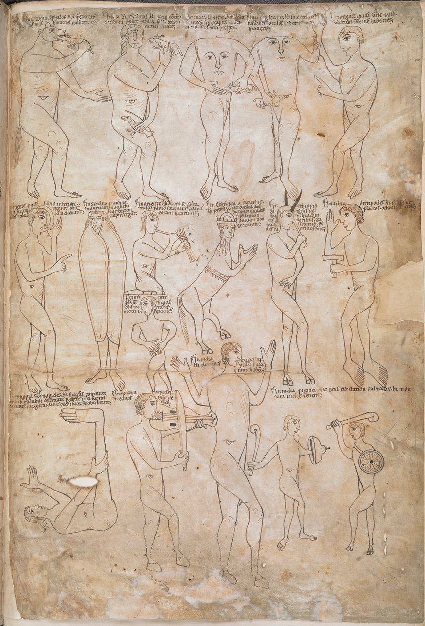 Ritningar av de sjutton monstruösa raserna, inklusive jättar, pygméer, blemmyae och donestre, illustration från 