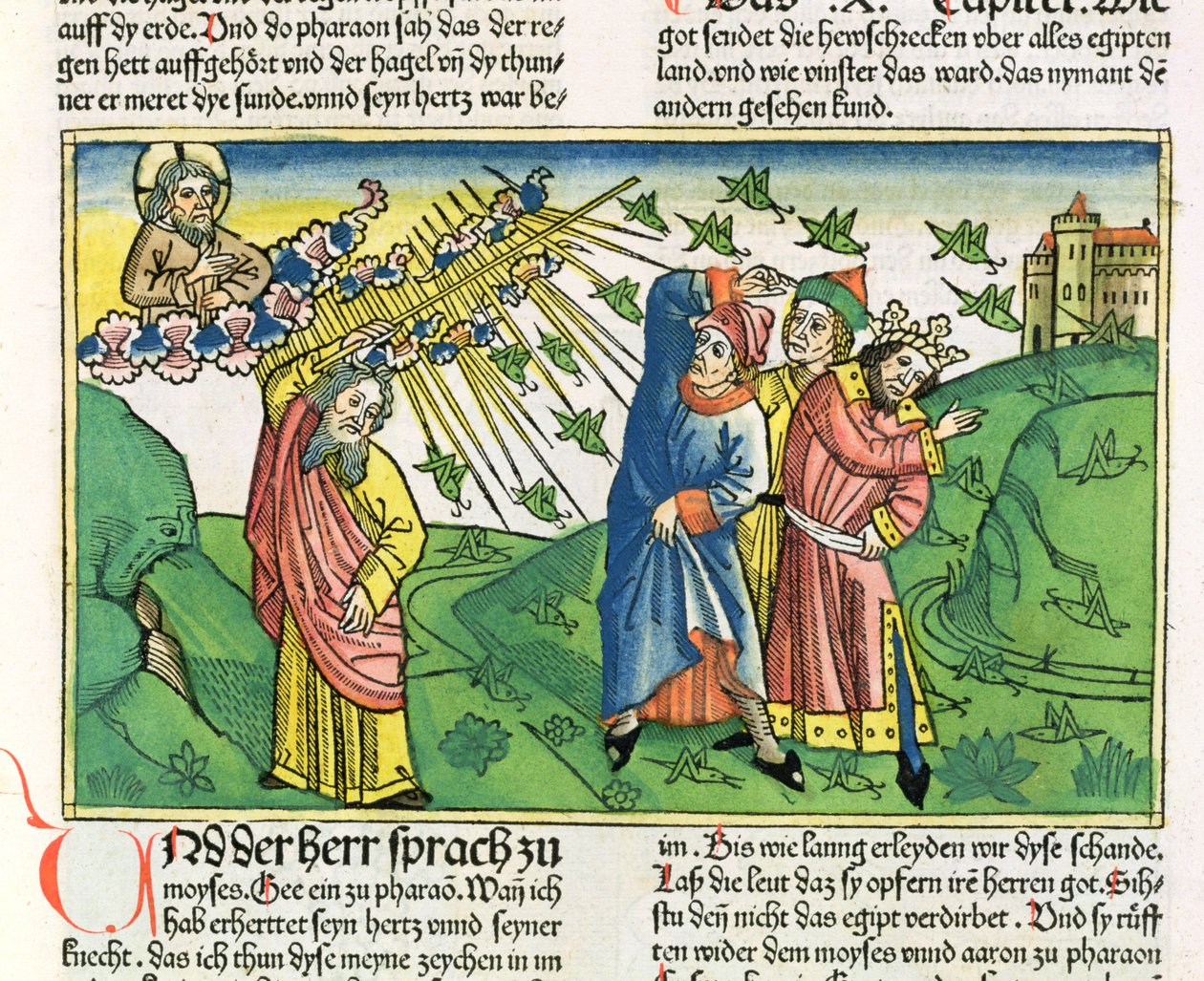 2 Mosebok 10:1-20 Egyptens sju plågor: gräshoppornas plåga, från Nürnbergbibeln (Biblia Sacra Germanaica) (färgat träsnitt) av German School