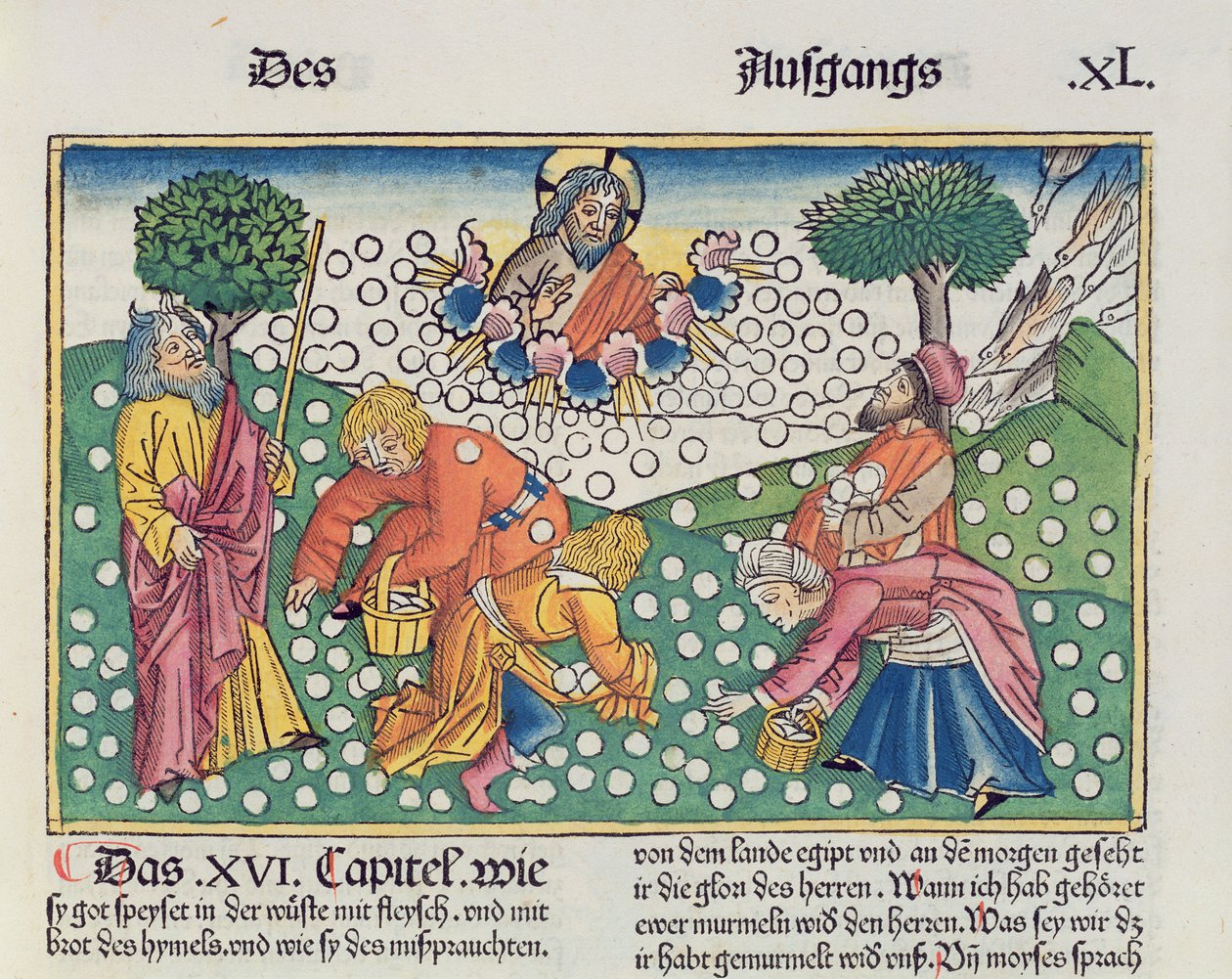 2 Mosebok 16 13-22 Gud ger vaktel och manna till israeliterna, från Nürnbergbibeln (Biblia Sacra Germanaica) (färgat träsnitt) av German School