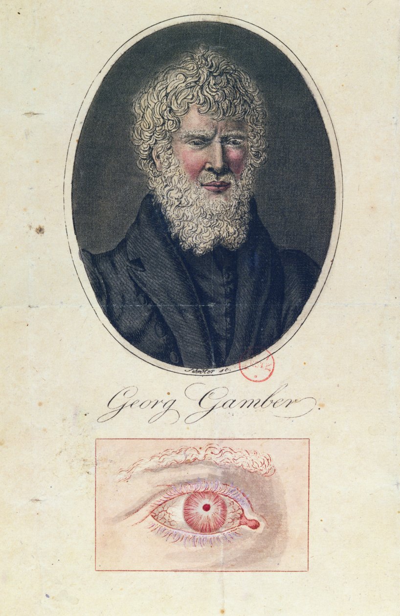 Georg Gamber, en albino av German School