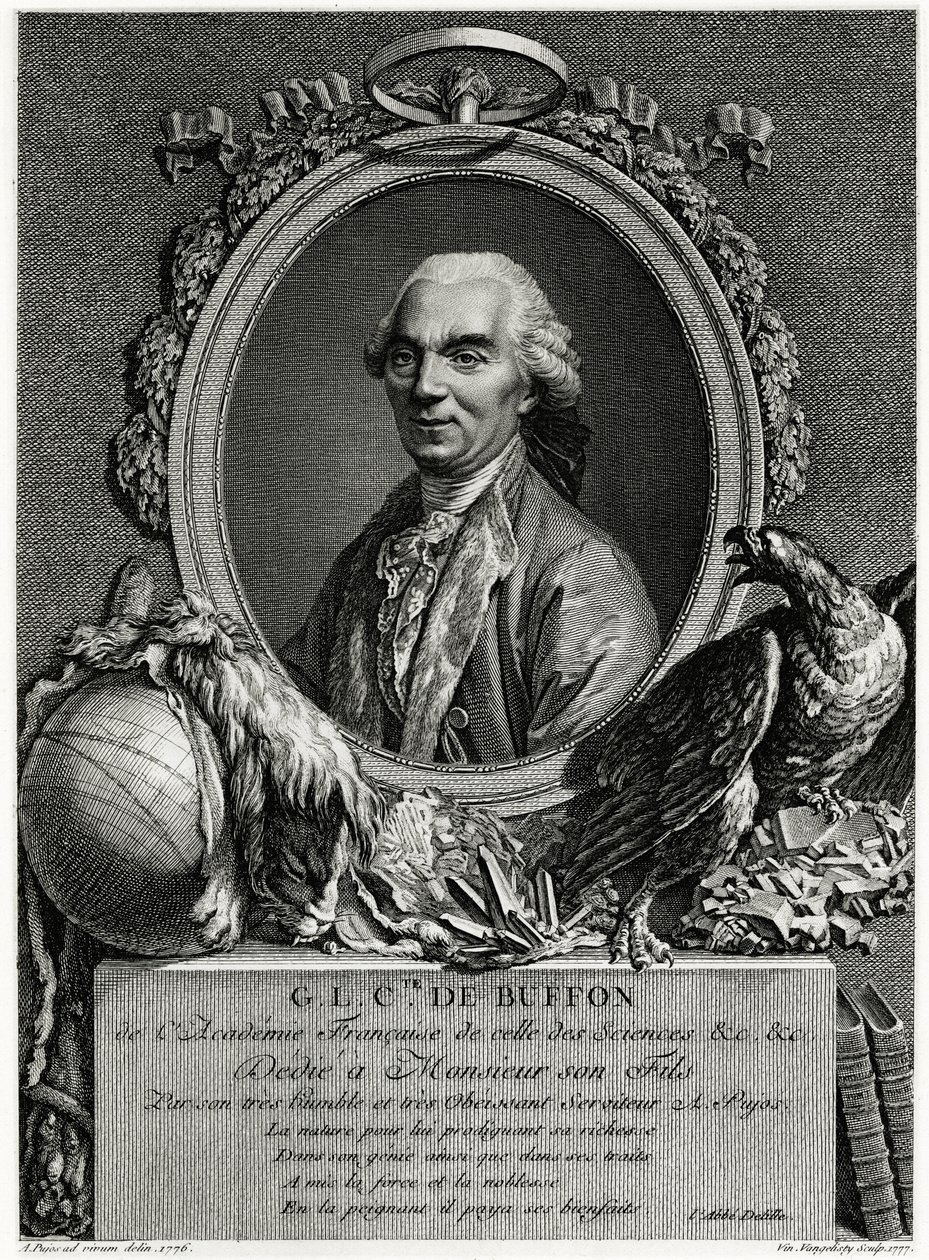 George Louis Leclerc greve av Buffon av German School