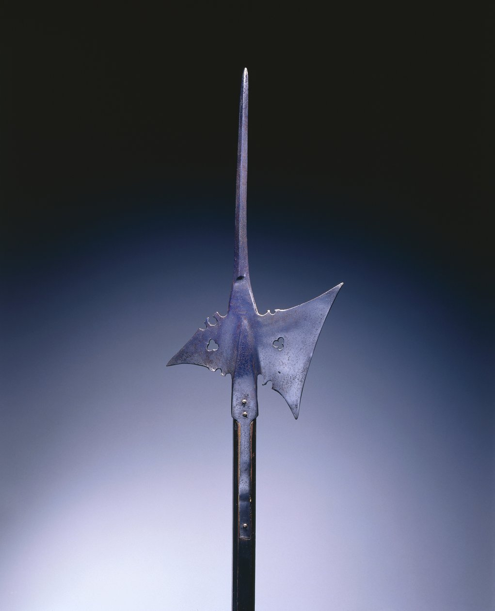 Hellebard, ca 1550 (stål och trä) av German School