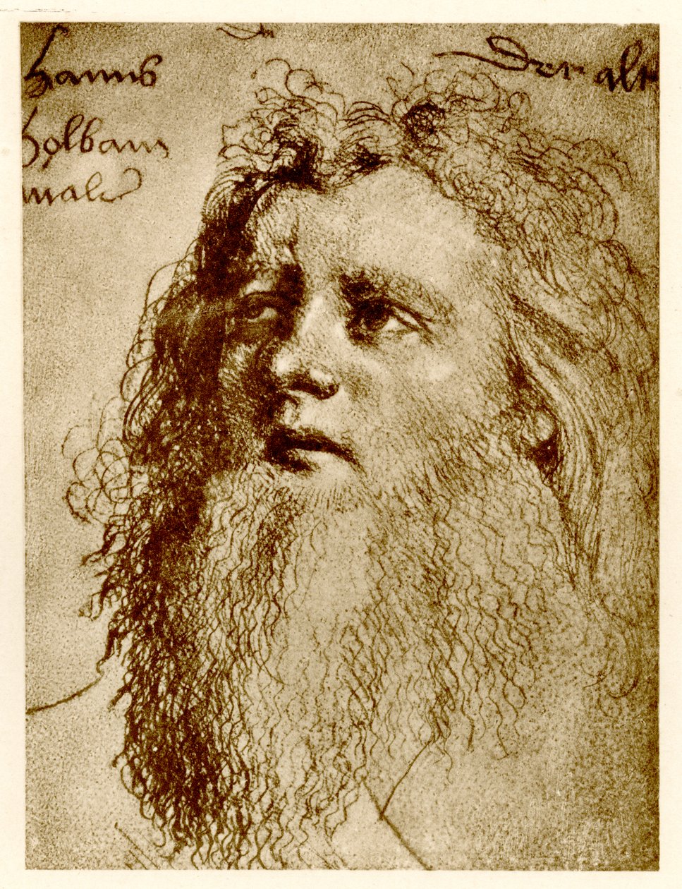 Hans Holbein den äldre, 1884-90 (fototyp) av German School
