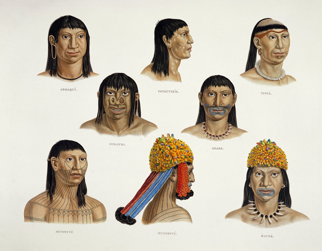 Heads of South American Indians, från Travels in Brazil (för detaljer se 92095) av German School