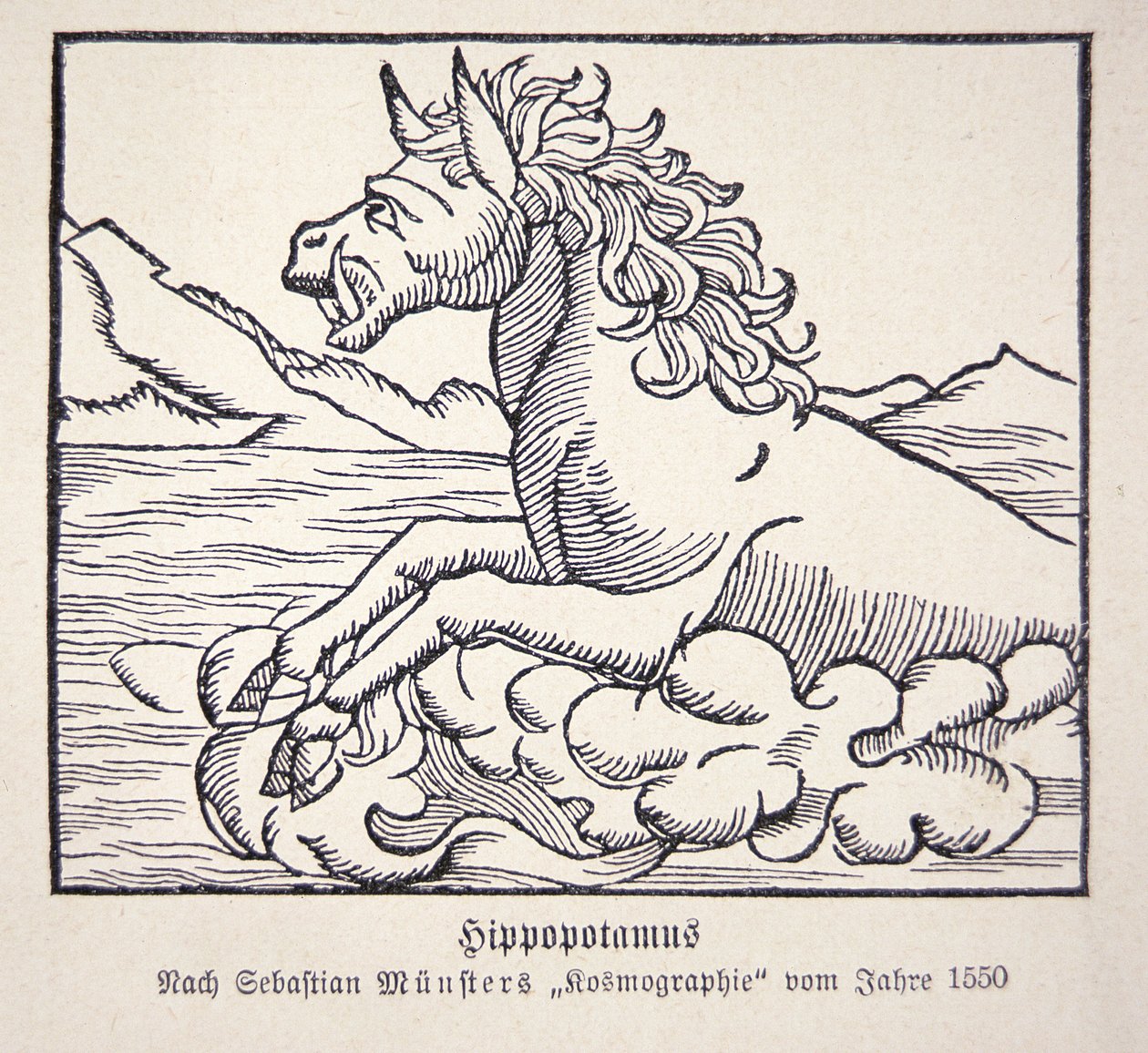 Flodhäst från Sebastien Münsters 
