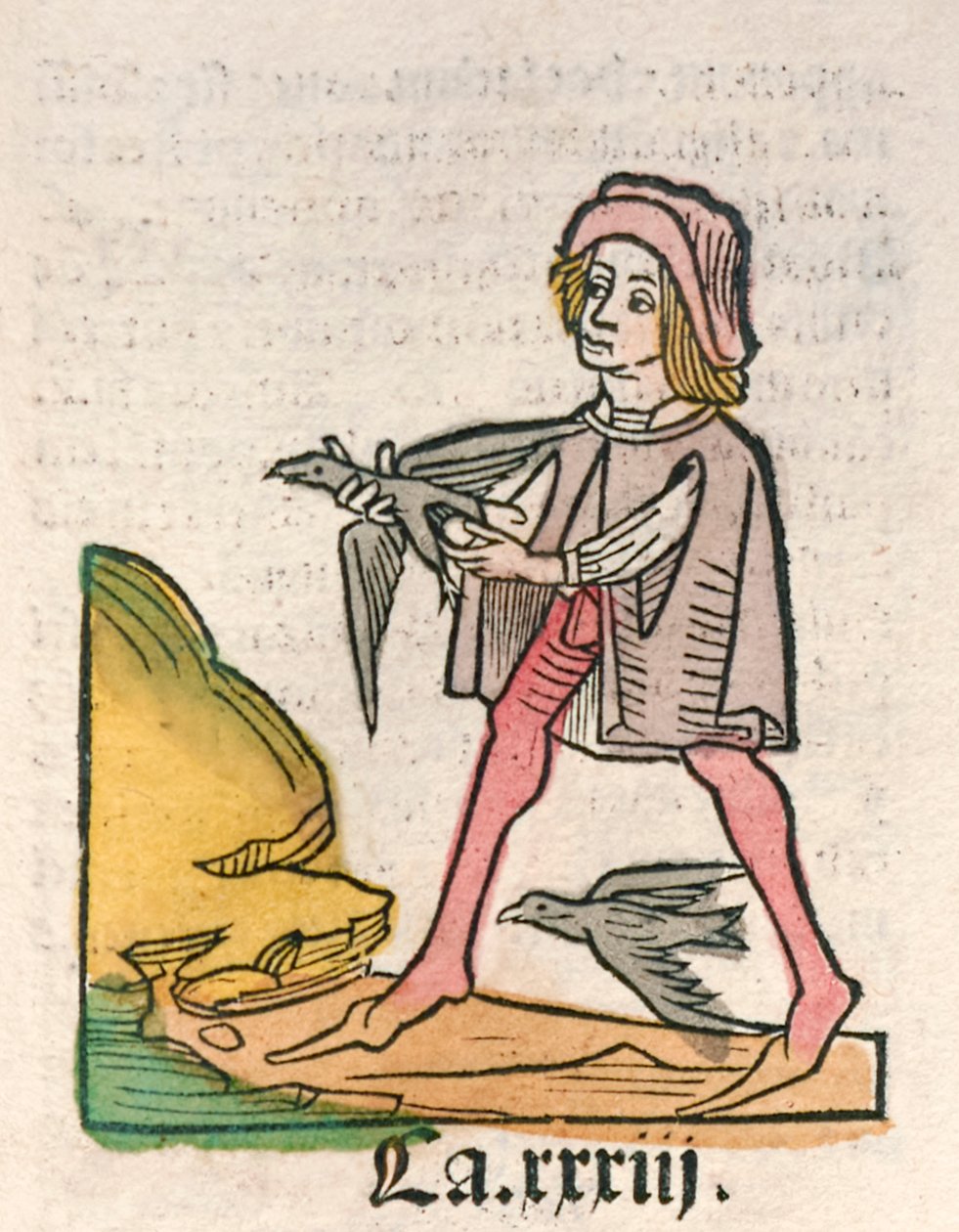Hortus Sanitatis [Hälsens trädgård] av Jacob Meydenbach publicerad 1491 (träsnitt) av German School