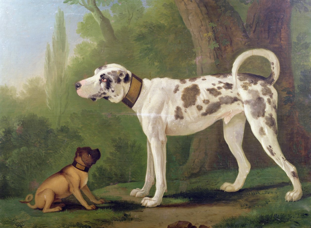 Hund och terrier av German School