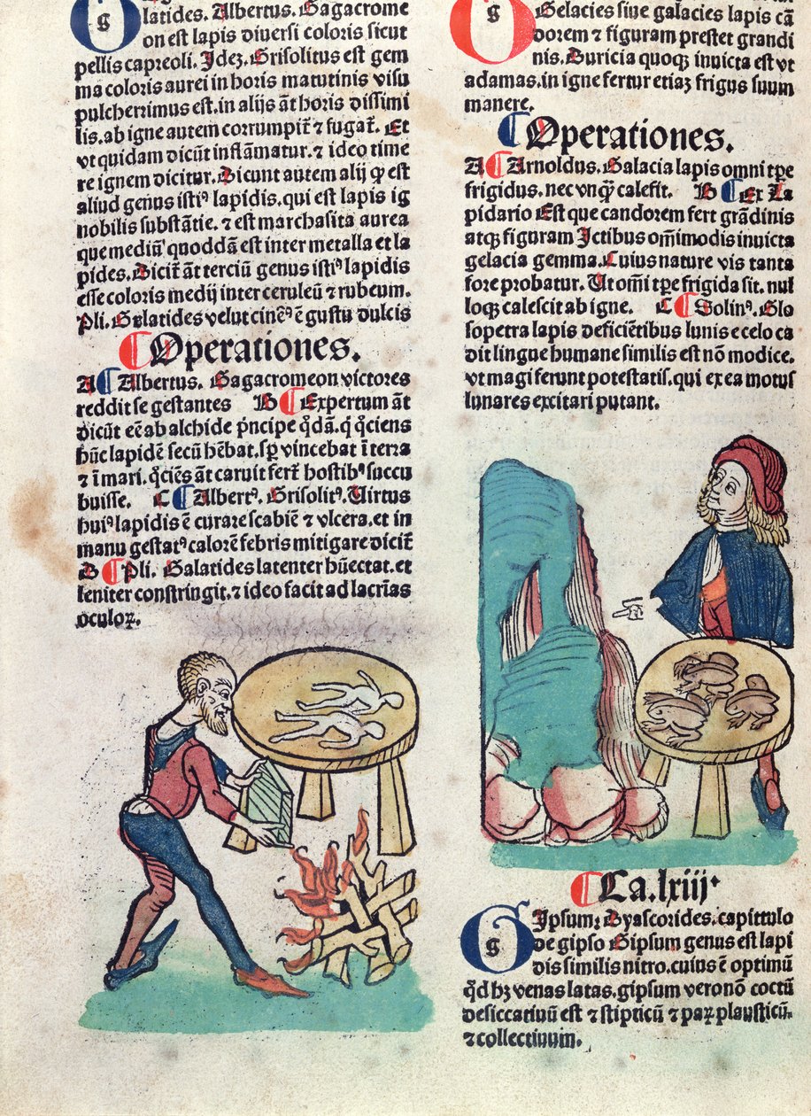 Illustrerad sida från Hortus Sanitatis, 1491 (färgat träsnitt) av German School
