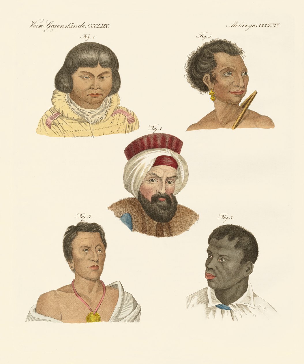 Illustration av de viktigaste mänskliga raserna av German School