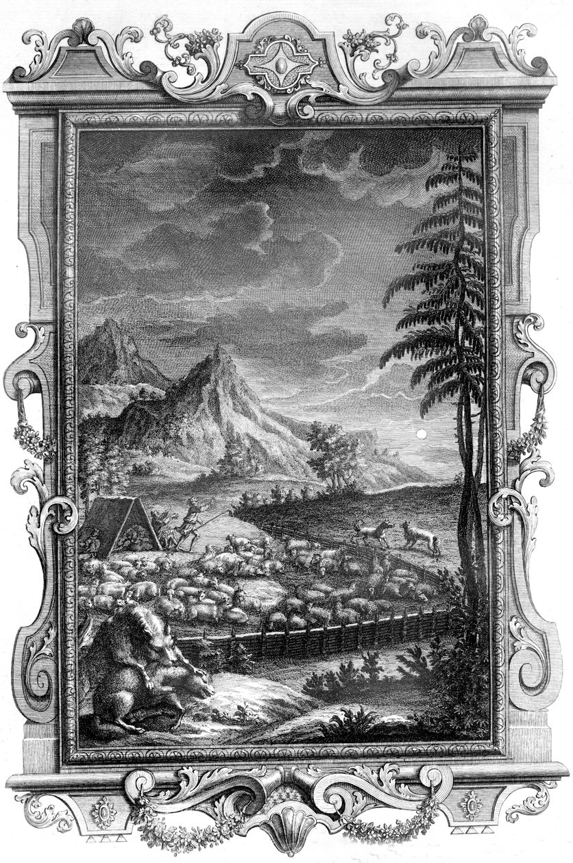 Jakob, den trofaste herden, skyddar sin fårhjord från angrepp av vargar, 1731 (kopparsticksgravyr) av German School