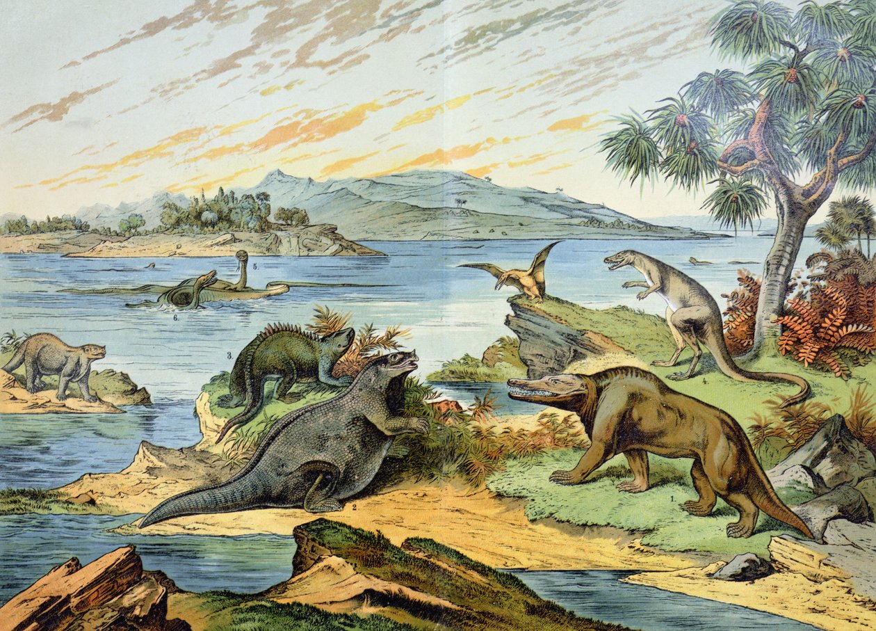 Landskap som skildrar kritaperioden (146 till 65 miljoner år sedan) illustration från Natural History of Mineralogy and Palaeontology av G.H. von Schubert, 1888 av German School