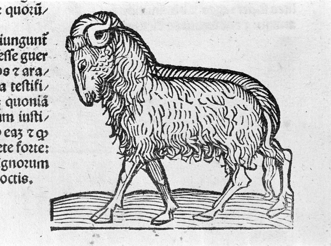 Le Aquarius - i avhandlingen av John Angelo om årens stora förbindelser och deras revolutioner och perfektioner. Augsburg, Erhard Ratdolt av German School