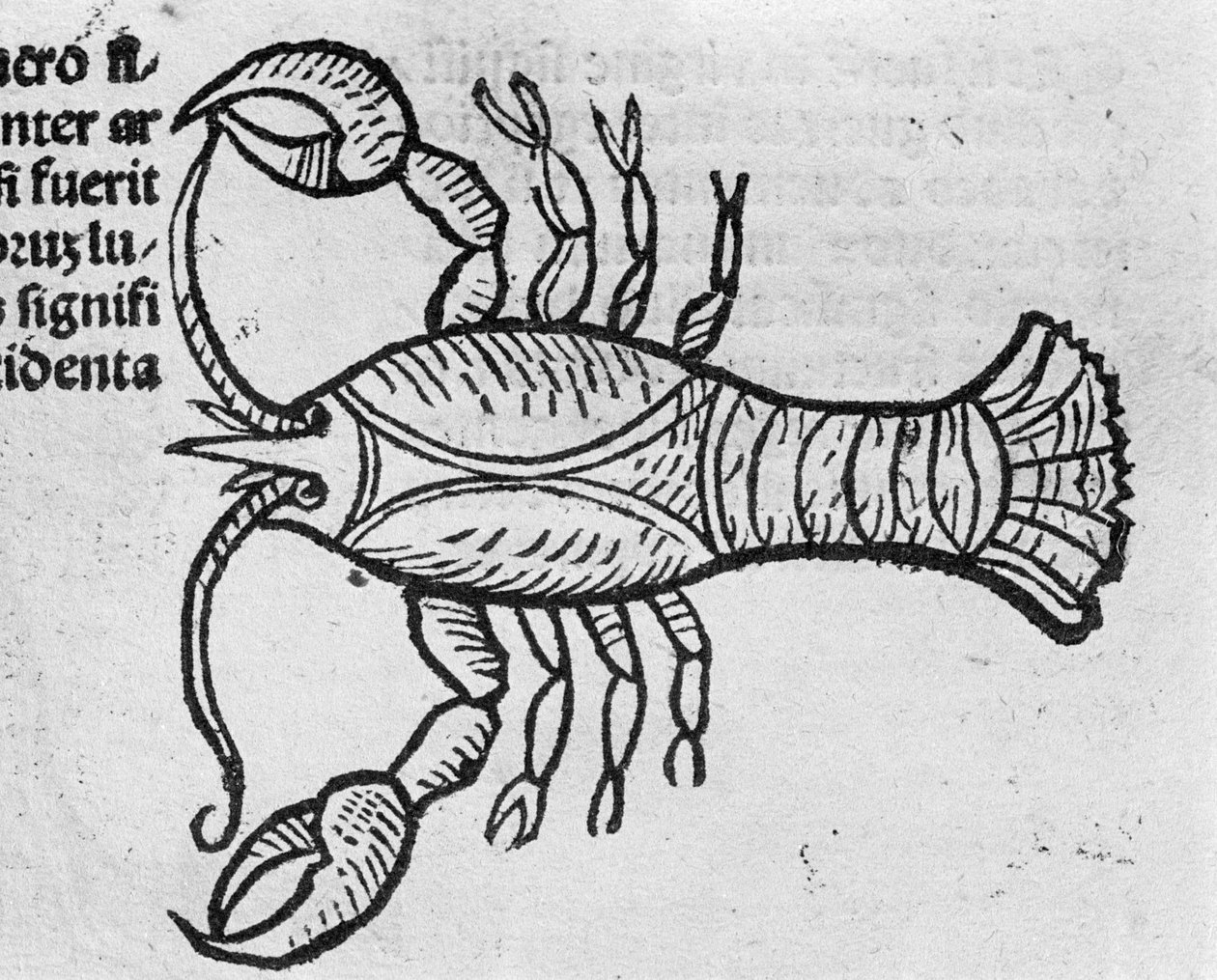 Le Cancer - i en avhandling av John Angel om de stora sammanbindande årens revolutioner och deras perfektioner. Augsburg, Erhard Ratdolt av German School