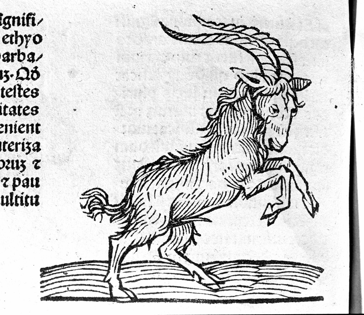 Le Capricorn - i avhandlingen av John Angel om årens stora förbindelser och deras revolutioner. Augsburg, Erhard Ratdolt av German School
