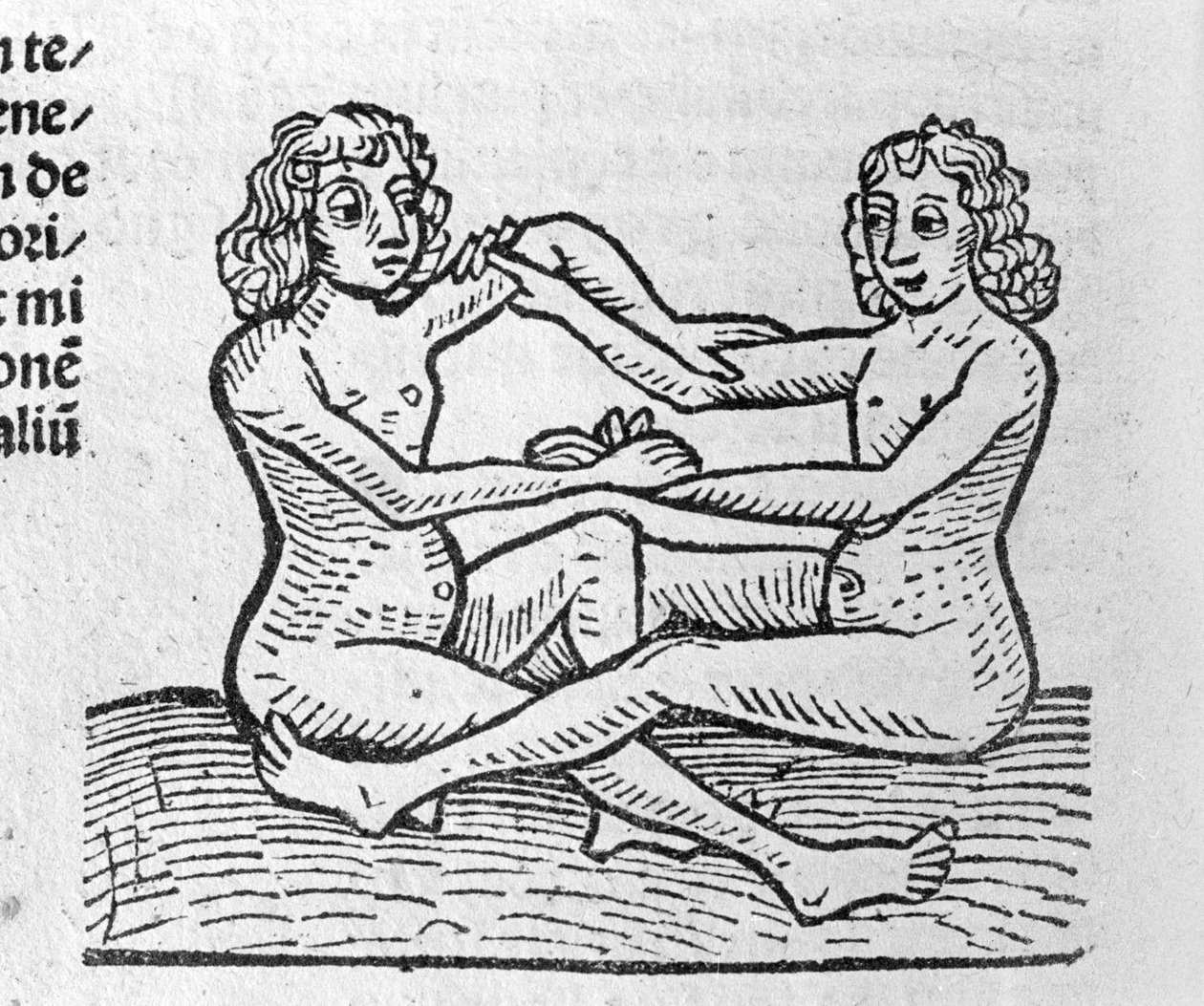 Les Gemini - i Traité de Johannes Angelo om årens stora förbindelser och deras revolutioner. Augsburg, Erhard Ratdolt av German School