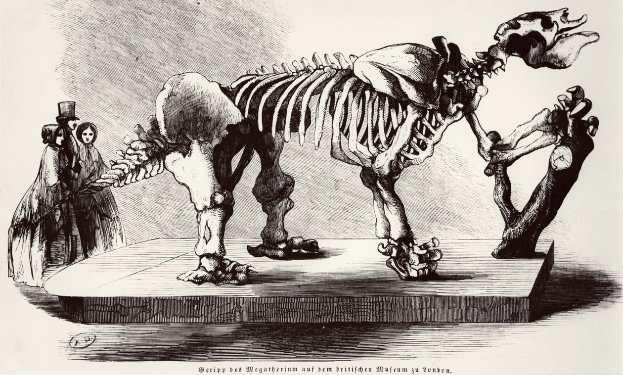 Megatherium Skelett på British Museum av German School