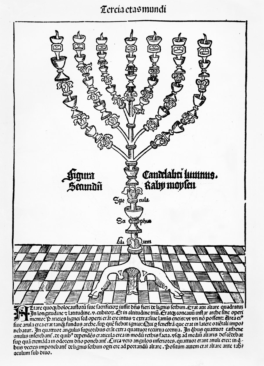 Menorah, från Liber Chronicarum av Hartmann Schedel, publicerad i Nürnberg, 1493 av German School