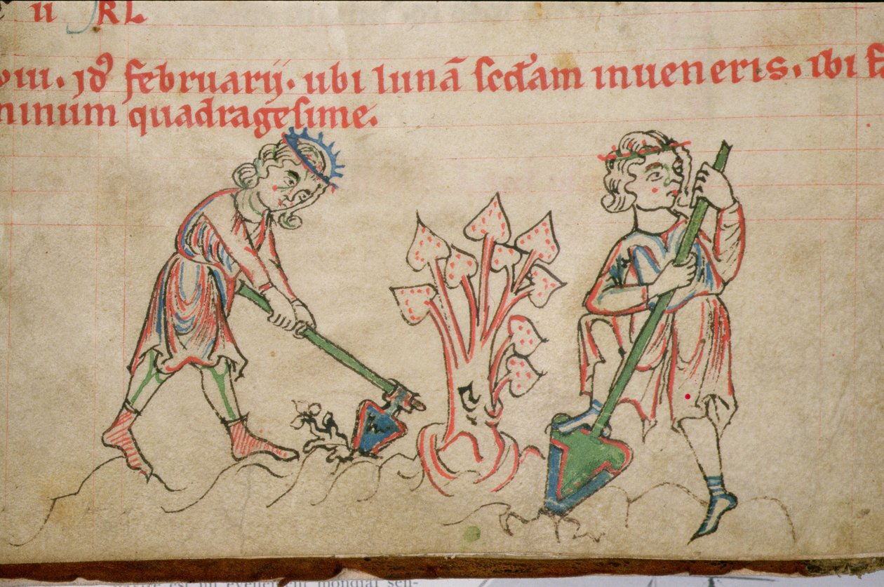 Ms 54 f.37 Februari: Hackning, cisterciensisk psaltare (pergament) av German School