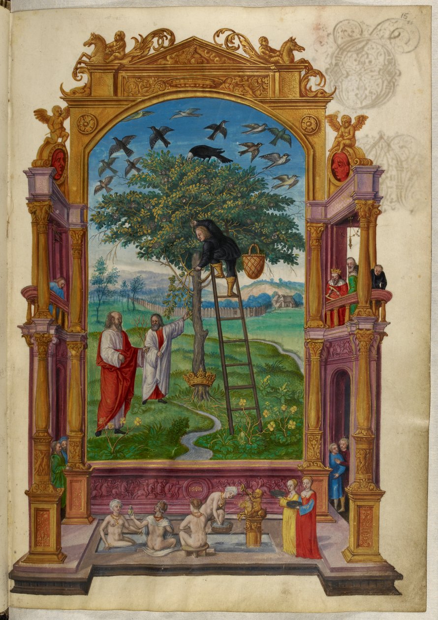 Ms Harley 3469, f.15 Gyllene träd med krona, den andra liknelsen, från 