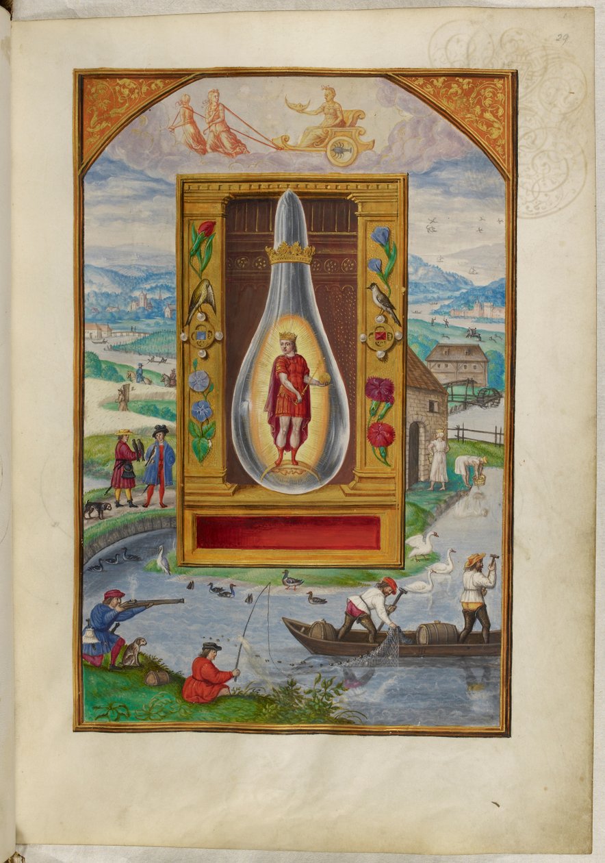 Ms Harley 3469, f.29 Ung kung i en kolv, den fjärde avhandlingen, från 