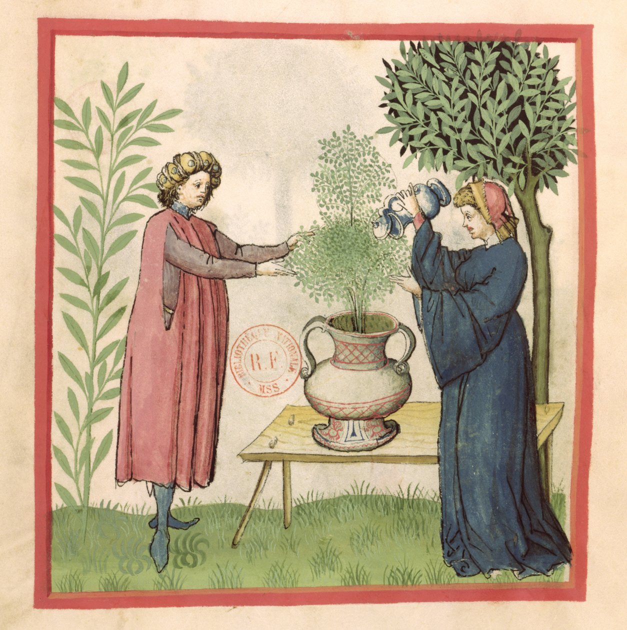 Ms Lat 9333 fol.30 Mejram, från Tacuinum Sanitatis av German School