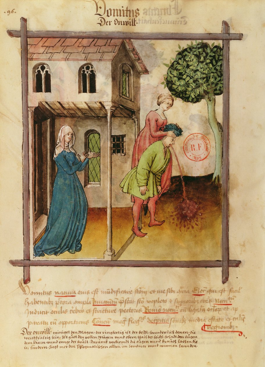 Ms Lat 9333 fol.96v Man Kräkningar, från Tacuinum Sanitatis av German School