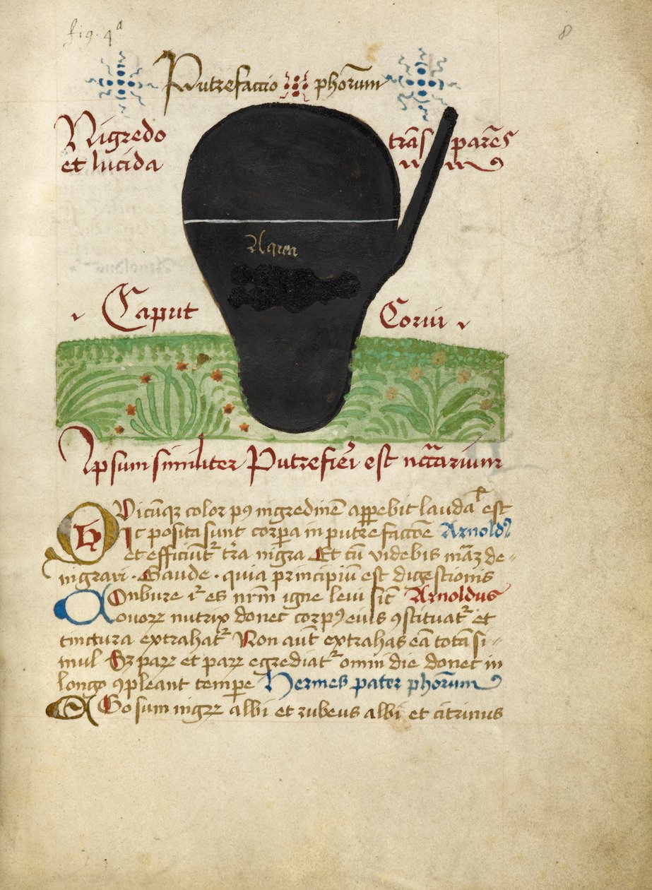 Ms Sloane 2560, f.8 från Alchemical Treatises, sent 1400-tal (vellum) av German School