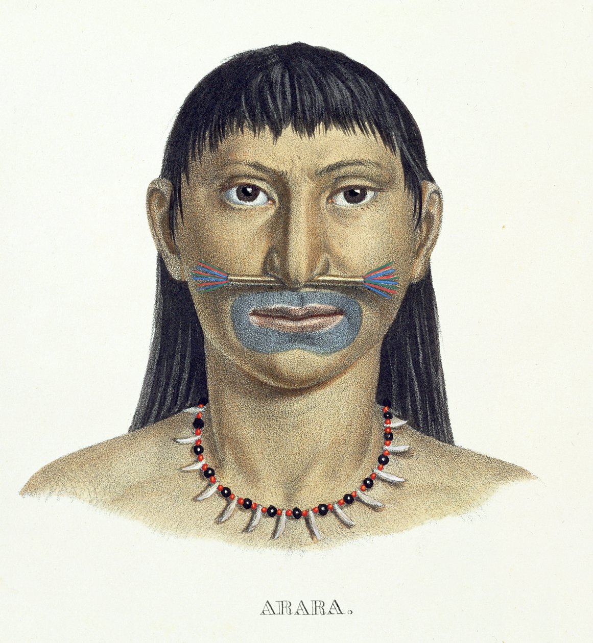Infödd man av Arara-stammen med blå ansiktsfärg, från Atlas of a Journey in Brazil av Johann Baptist von Spix (1781-1826) och Karl Friedrich Philipp Martius (1794-1868), publicerad ca 1835-50 (färg av German School