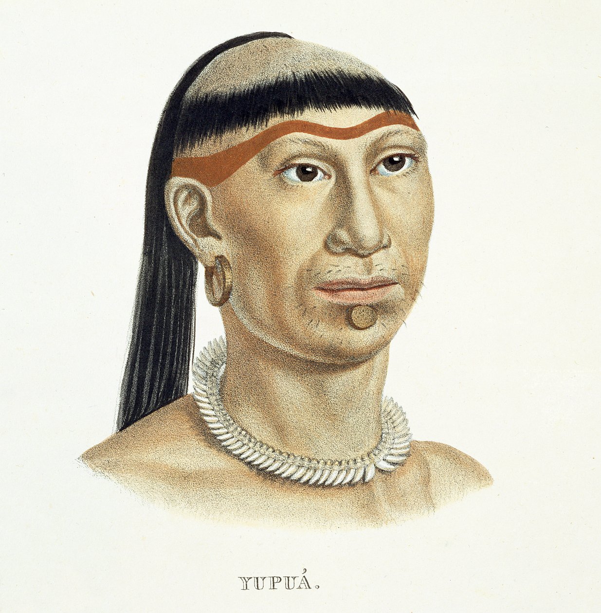 Infödd man av Yupua-stammen, med plockat och rakat hår och ett halsband av djurtänder, från Atlas of a Journey in Brazil av Johann Baptist von Spix (1781-1826) och Karl Friedrich Philipp Mar av German School