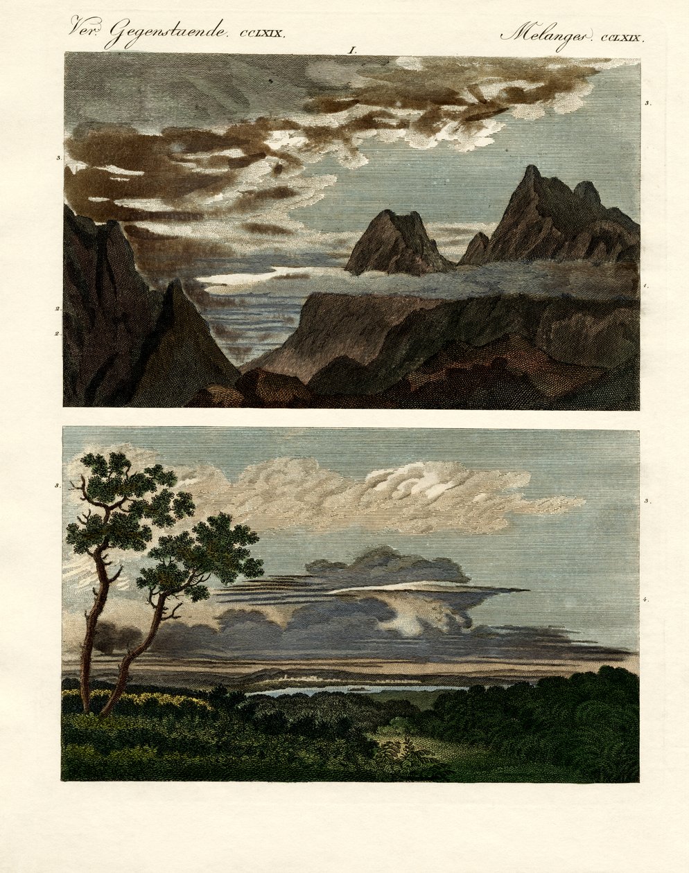 Molnens naturhistoria (färgad gravyr) av German School