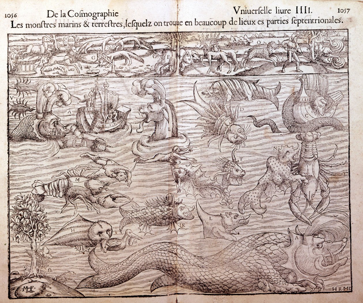 Plåt som representerar alla typer av marina och terrestra monster som finns i nordliga regioner: Xilografi hämtad från Sebastien Munsters Universal Cosmography. Bal av German School