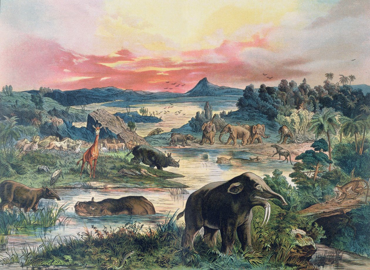 Förhistoria - tertiär - återuppbyggnad av naturlig miljö i Europa och några av djuren från denna period, 1886 av German School