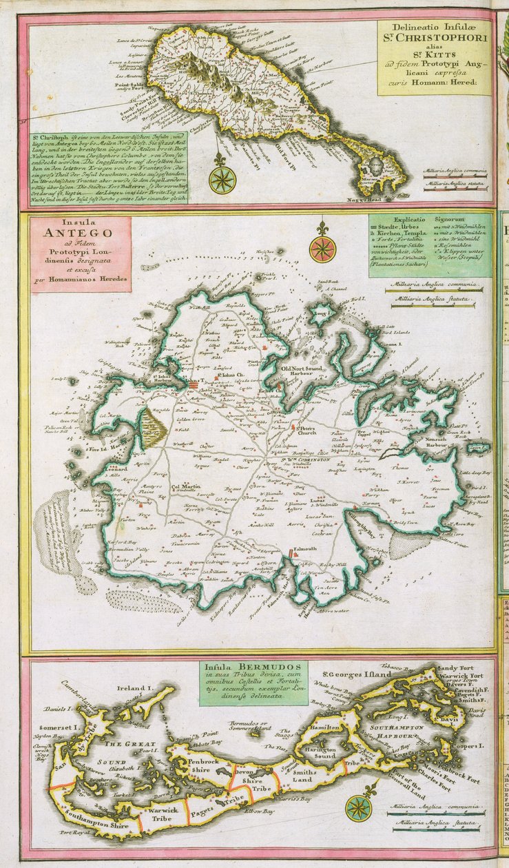 St. Kitts, Antigua och Bermuda, detalj från en karta över engelska kolonier i Karibien, pub. av Homann