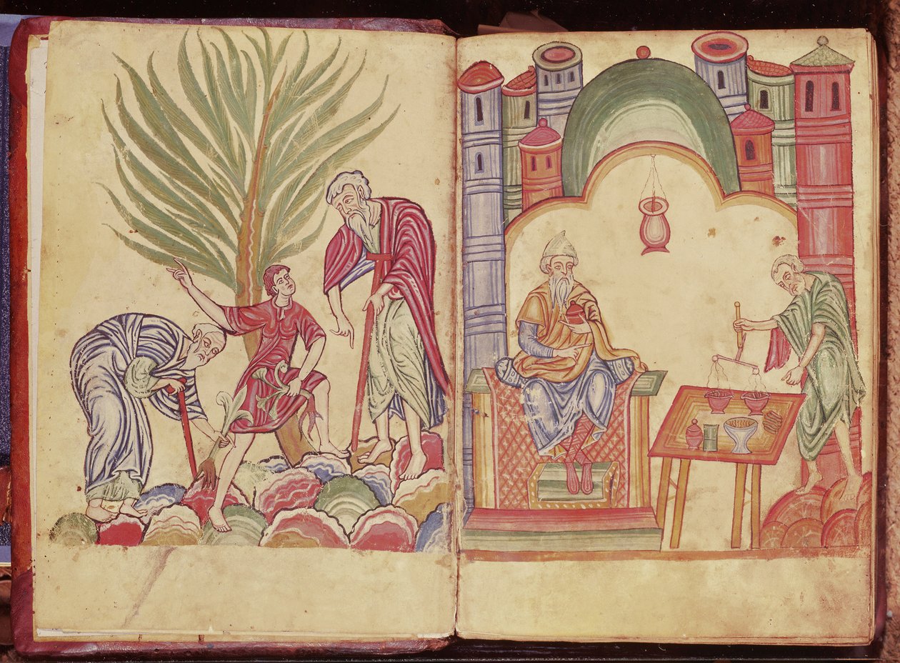 Apotekarens konst, från Apuleius Dioscorides av German School