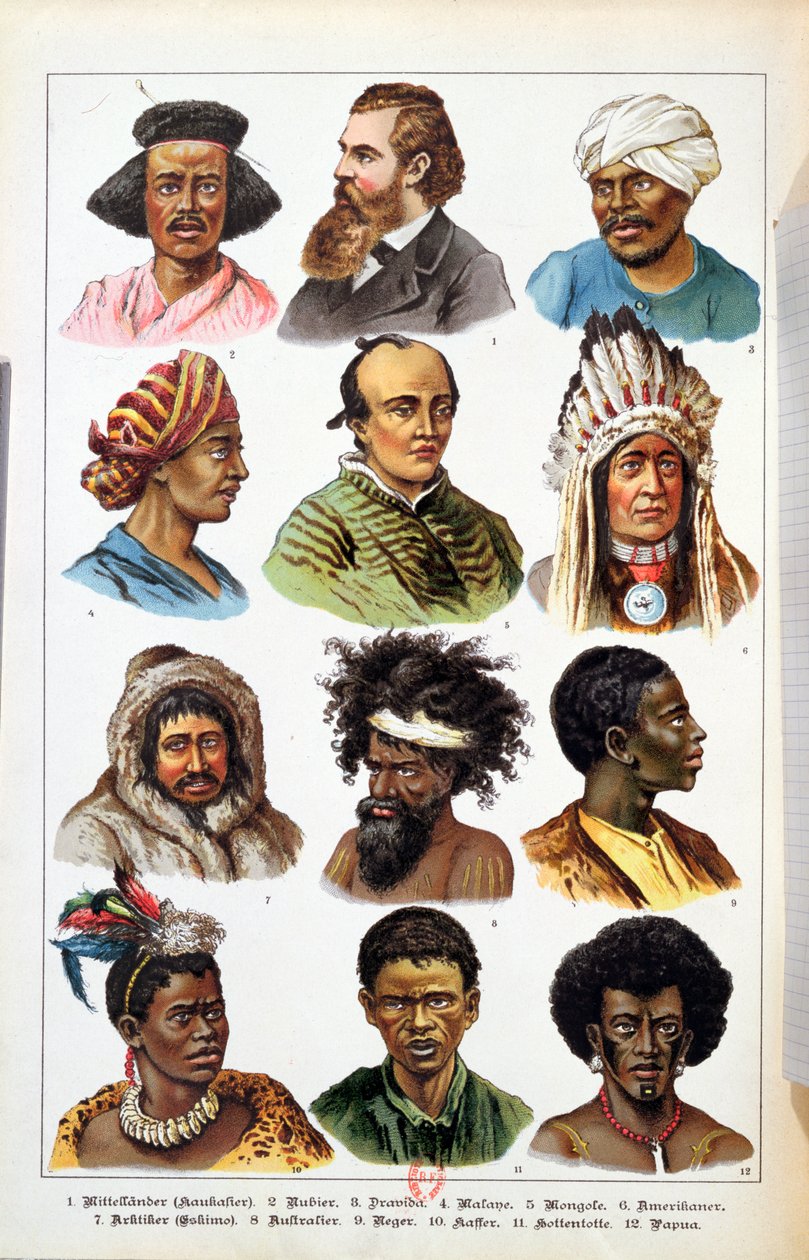 The Different Human Races, från Natural History of the Animal Kingdom av Gotthelf Heinrich von Schubert (1780-1860), 1861 (färgstick) av German School
