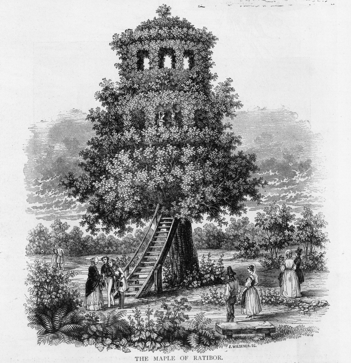 Lönnen av Ratibor, Schlesien, 1893 av German School