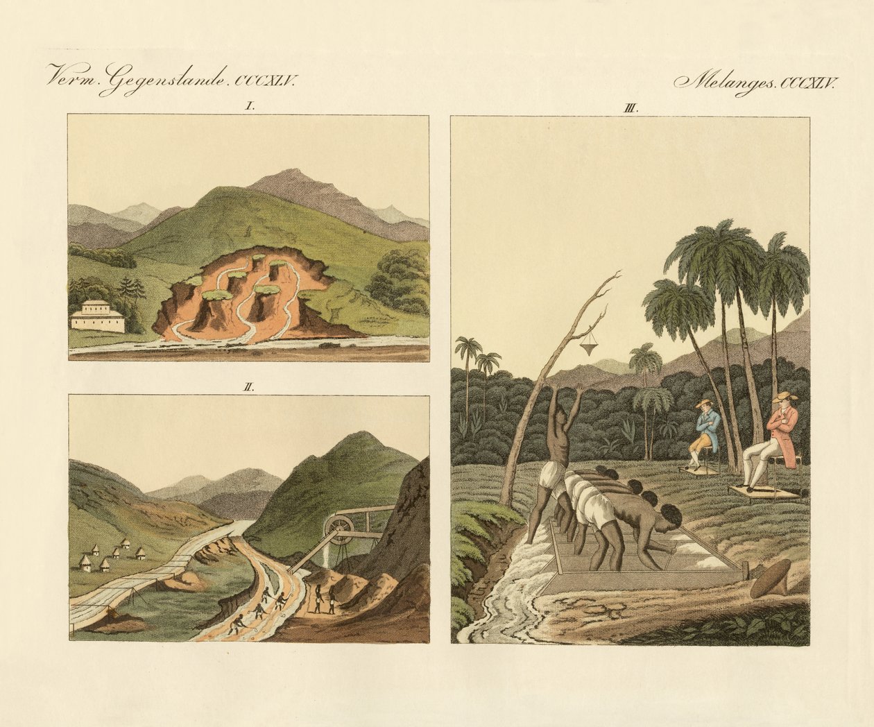 Ädelstensgruvorna i Brasilien (färgad gravyr) av German School