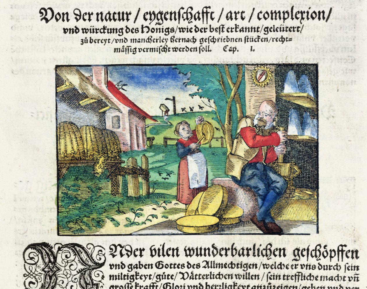 Den helande och terapeutiska användningen av honung i medicin, illustration från en tysk avhandling om läkemedel publicerad i Strasbourg 1573 (färgat träsnitt) av German School