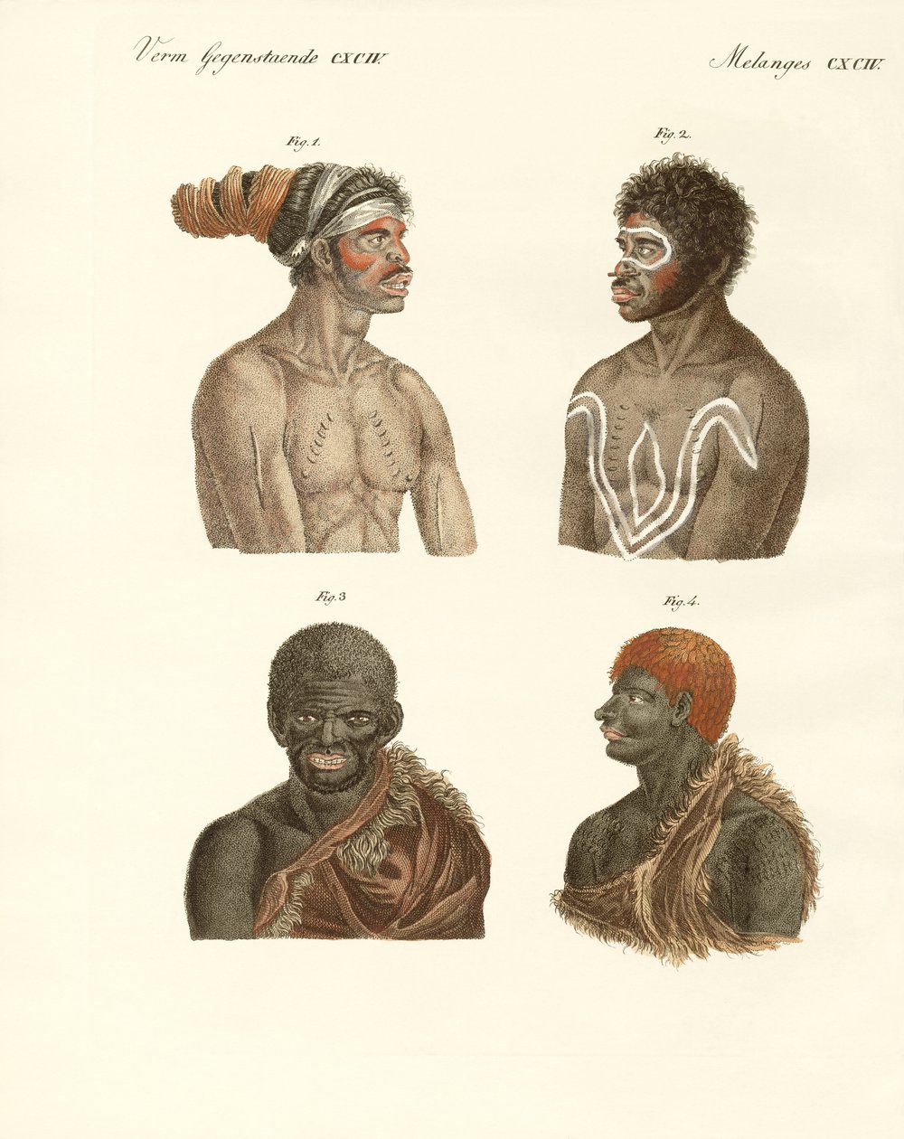 Invånarna i Australien (färgad gravyr) av German School