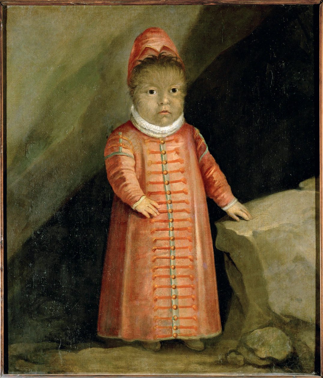 Sonen till Petrus Gonzalvus examinerades 1596... av German School