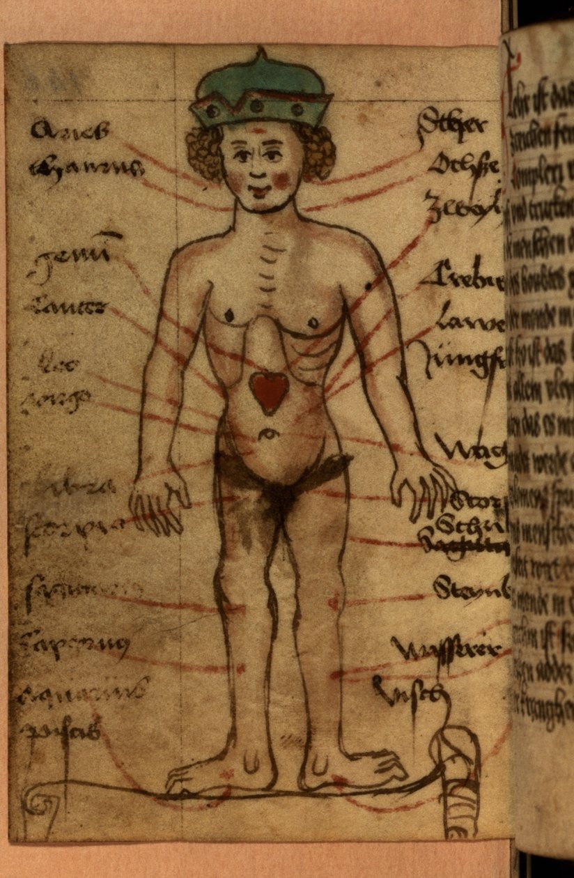 Zodiacdiagram som visar hjärtats position, från en samling böner och astrologiska figurer av German School