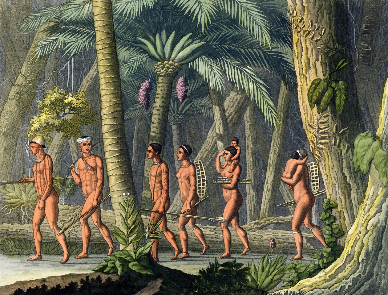 Indiana Puri Tribesmen in their Forest, från 